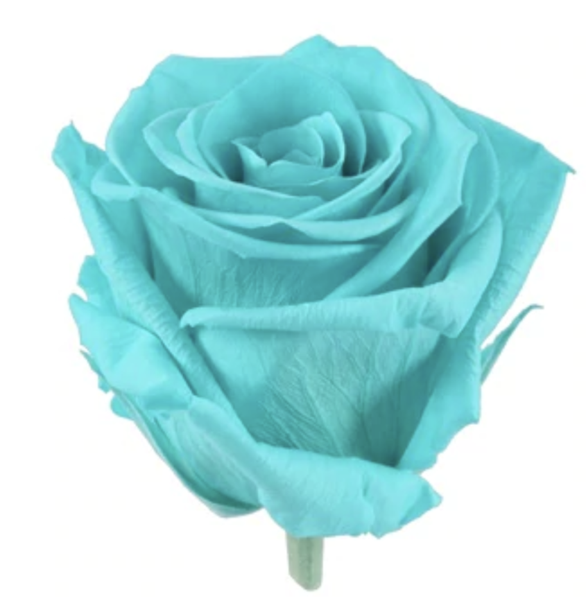Teal Roses Boutique